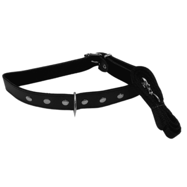 COLLAR CORREA DELGADO