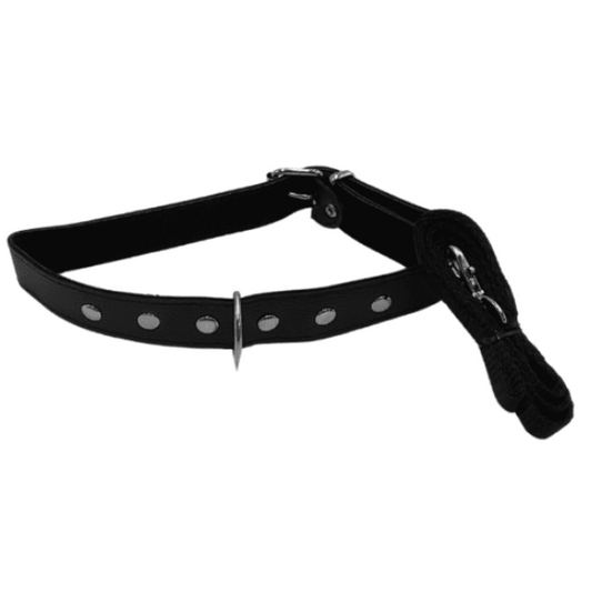 COLLAR CORREA DELGADO